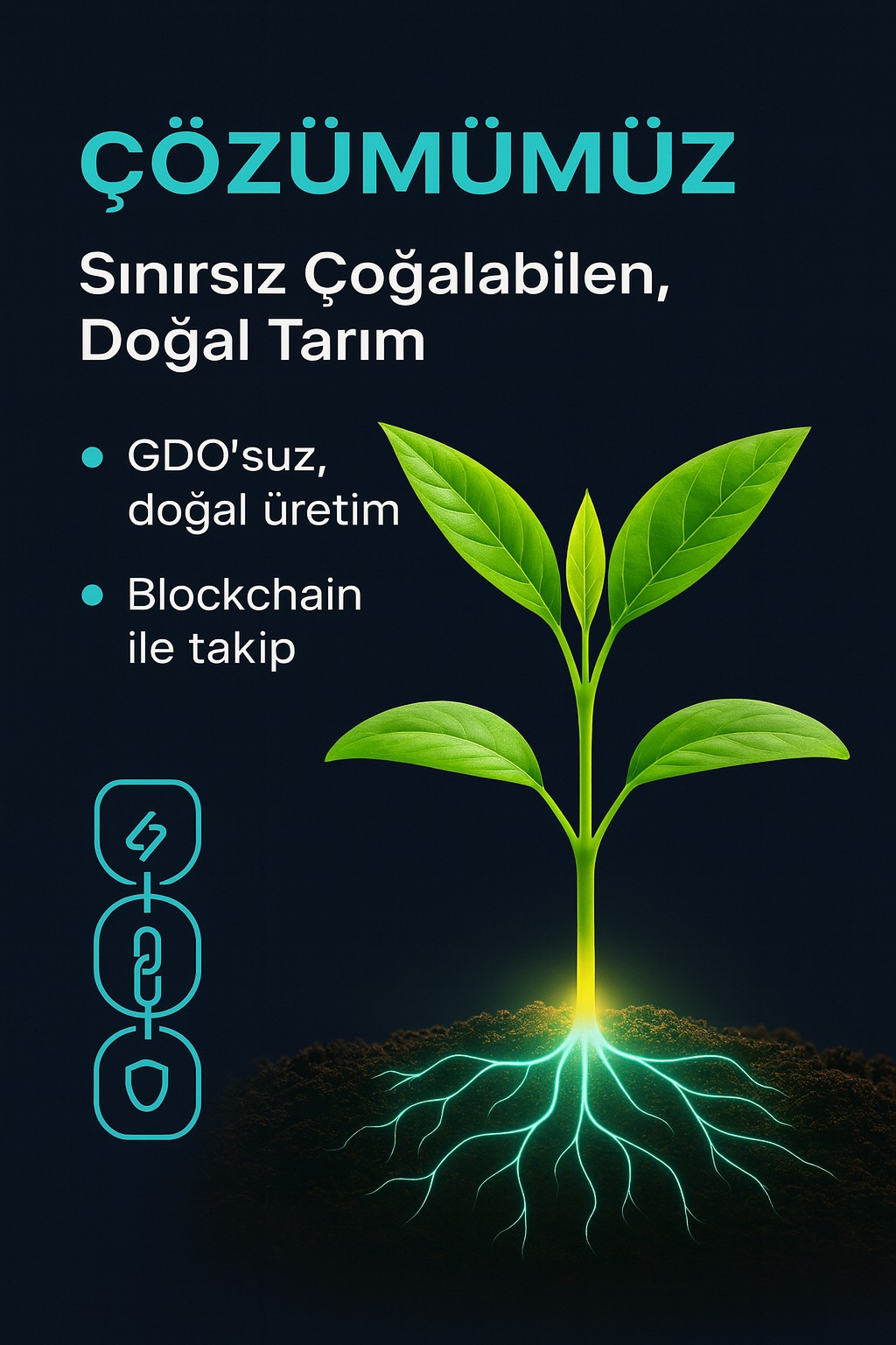 Çözümümüz: GDO'suz doğal üretim, blockchain ile izlenebilirlik